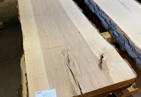 Gỗ beech có nguồn gốc từ đâu? Điểm tương đồng giữa 2 loại gỗ beech và gỗ sồi là gì?