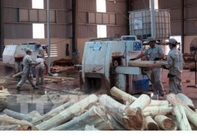 Ngành chế biến gỗ chuyển từ sản xuất gia công sang sản xuất có bản quyền 21:36 | 08-10-2018