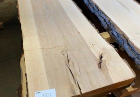 Gỗ beech có nguồn gốc từ đâu? Điểm tương đồng giữa 2 loại gỗ beech và gỗ sồi là gì?